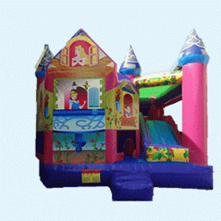 Disney Princess Adventure Combo Dry