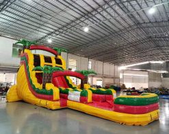 20' Rasta Rush Double Lane Water Slide